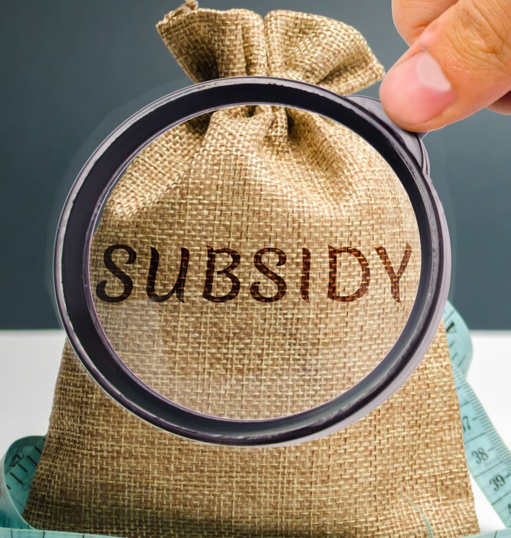 Subsidy